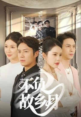 不负故乡月 全集完结(大结局)