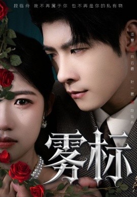 雾标 全集完结(大结局)