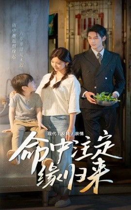 命中注定缘归来 全集完结(大结局)