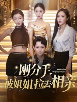 刚分手，被姐姐拉去相亲 全集完结(大结局)