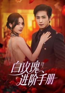 白玫瑰进阶手册(全集)