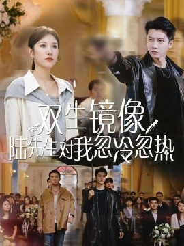 双生镜像陆先生对我忽冷忽热 全集(大结局)