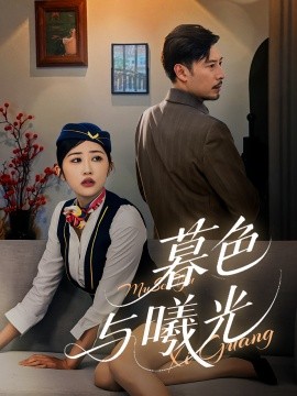 暮色与曦光 全集(大结局)