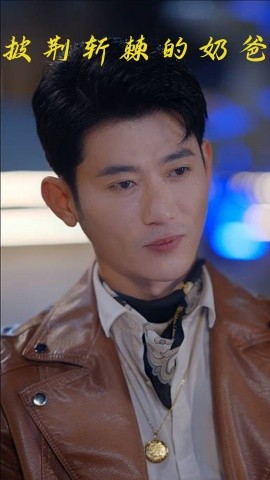 披荆斩棘的奶爸 全集完结(大结局)