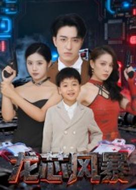 龙芯风暴 全集(大结局)