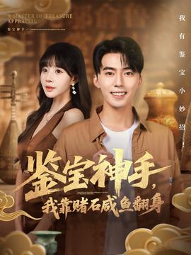 鉴宝神手，我靠赌石咸鱼翻身 全集完结(大结局)