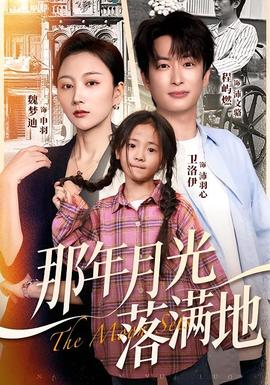 那年月光落满地 全集完结(大结局)