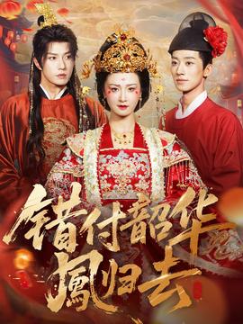 错付韶华凤归去 全集(大结局)