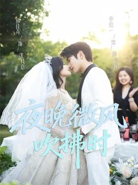 夜晚微风吹拂时 全集(大结局)
