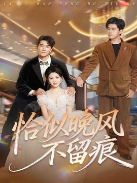 恰似晚风不留痕 全集完结(大结局)