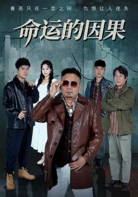 命运的因果 全集(大结局)