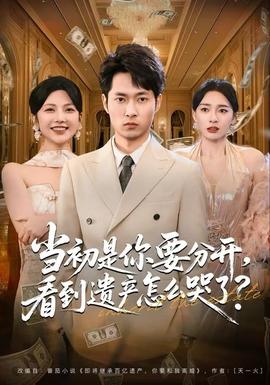 当初是你要分开，看到遗产怎么哭了？ 全集(大结局)