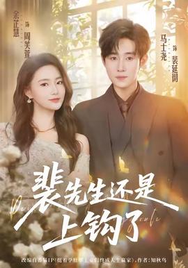 裴先生还是上钩了 全集完结(大结局)