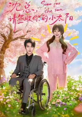 沈总，请签收你的小太阳 全集完结(大结局)